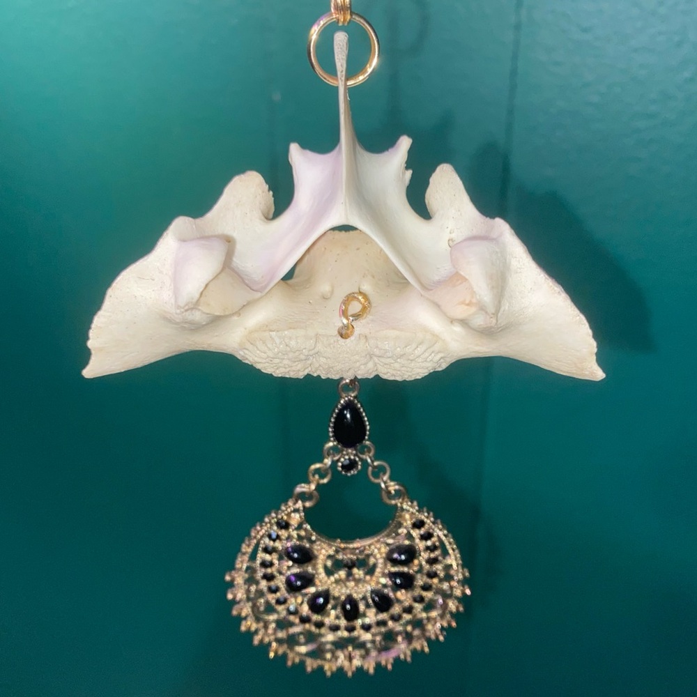 Deer Vertebrae Bone Black Rhinestone Golden Chain Necklace - Picture 4 of 11